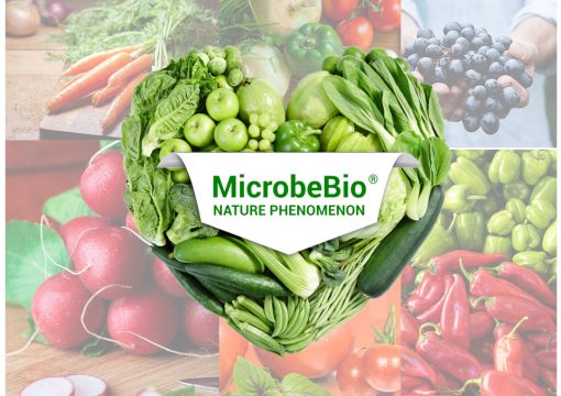 The Beneficial Agriculture Bacteria